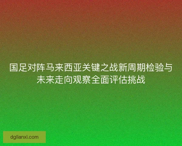 国足对阵马来西亚关键之战新周期检验与未来走向观察全面评估挑战